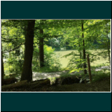 P1000656DSC_0360WhatsApp Image 2024-06-11 at 09.48.20.jpg